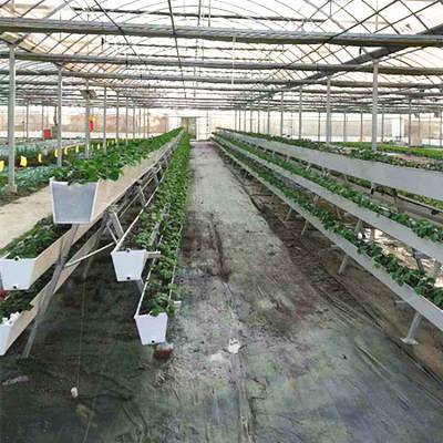 供应草莓立体种植槽栽培槽种植架华耀农业设施工程有限公司