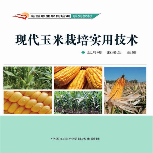 农业种植栽培技术培训:玉米规模生产经营